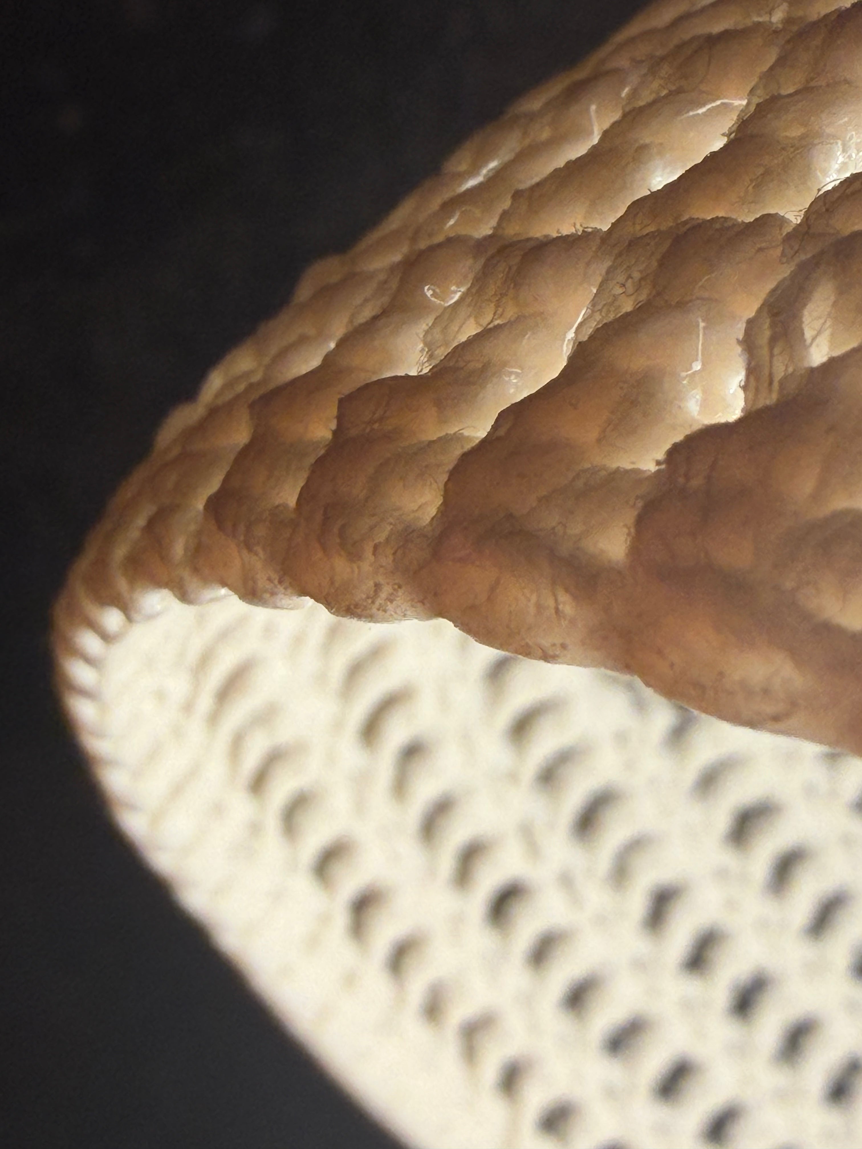 Trama T1 / Επιτραπέζιο Φωτιστικό