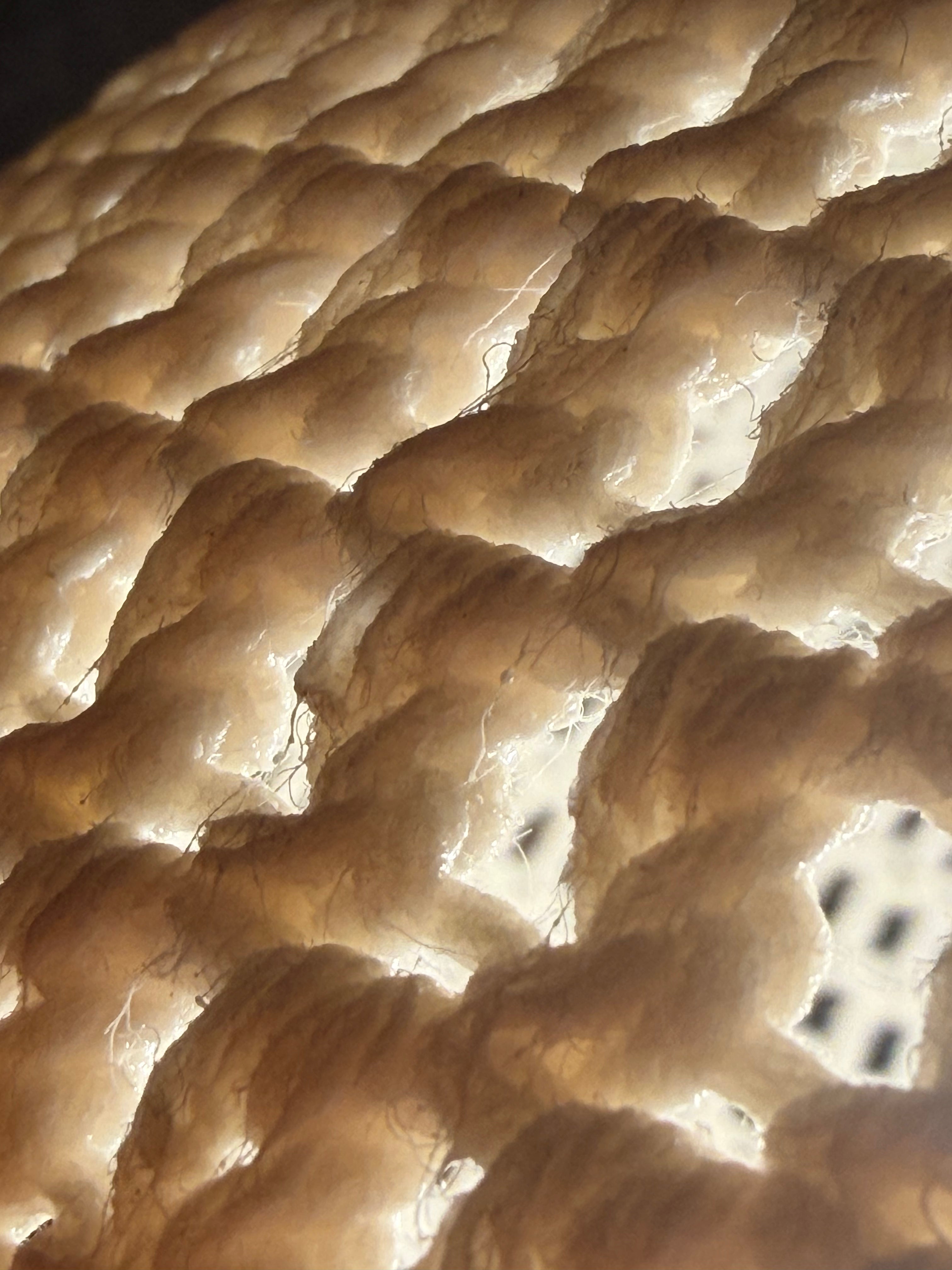 Trama T1 / Επιτραπέζιο Φωτιστικό