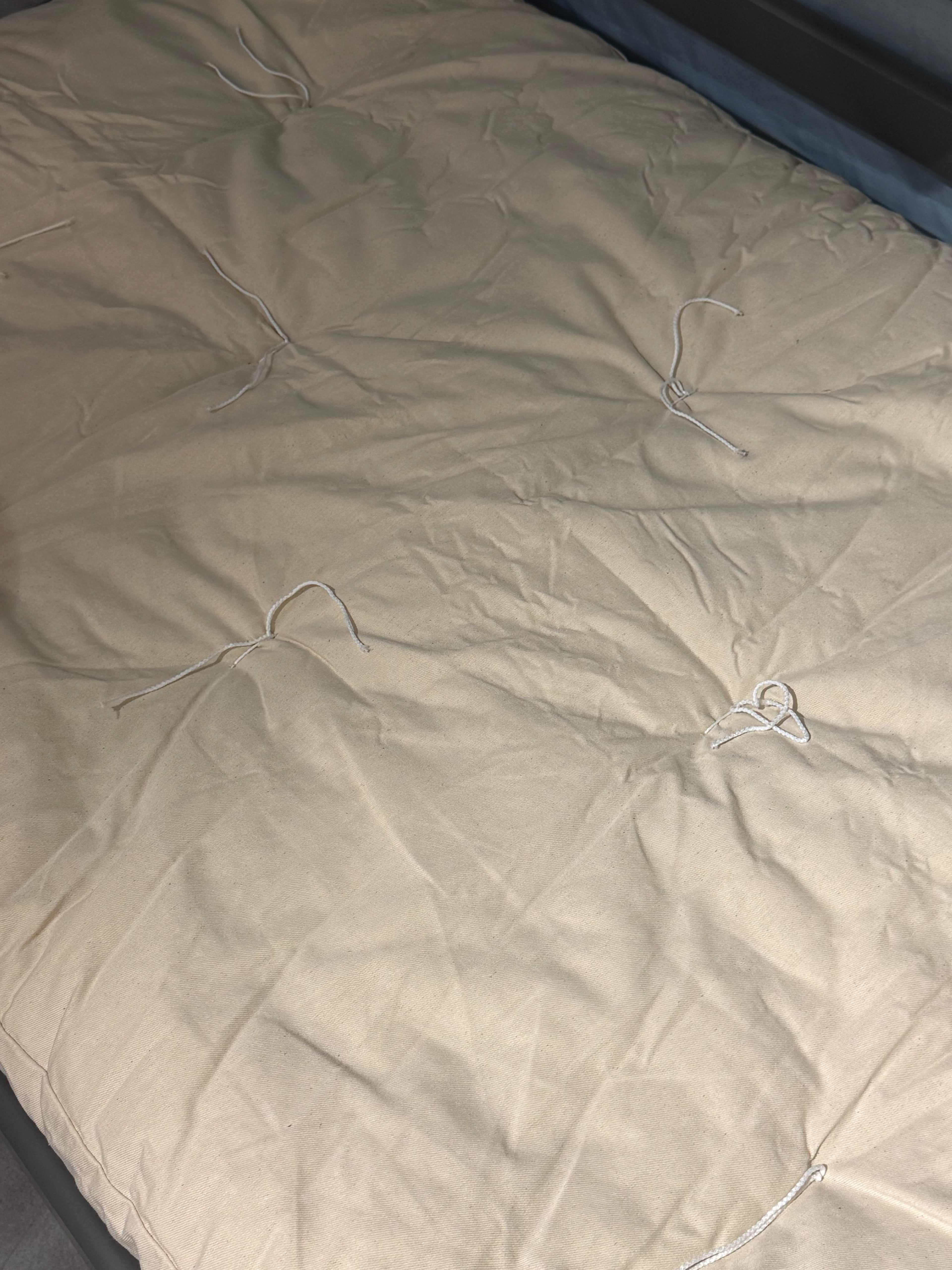 Futon Shiatsu / Thin Cotton Mattress