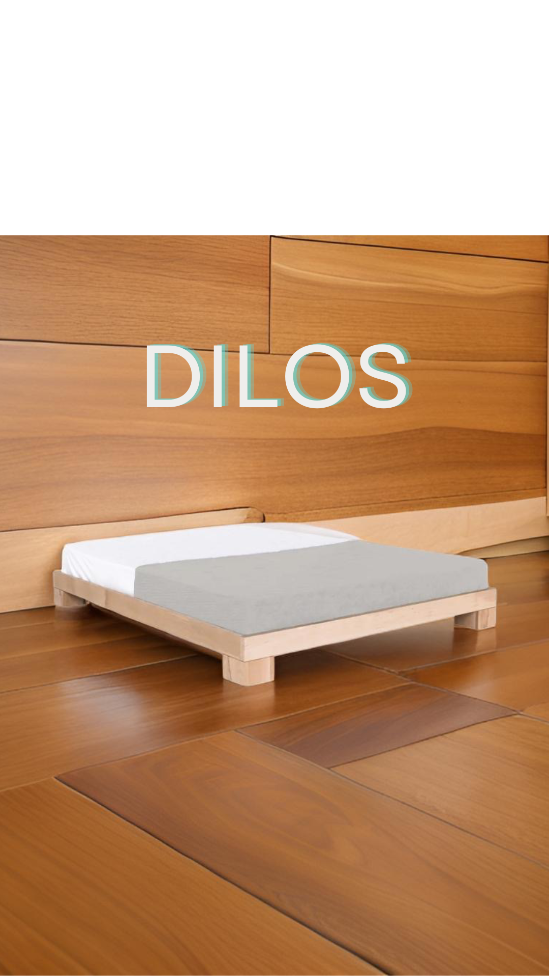 Dilos Bed / κρεβάτι οξιά - sofa-bed-futon 