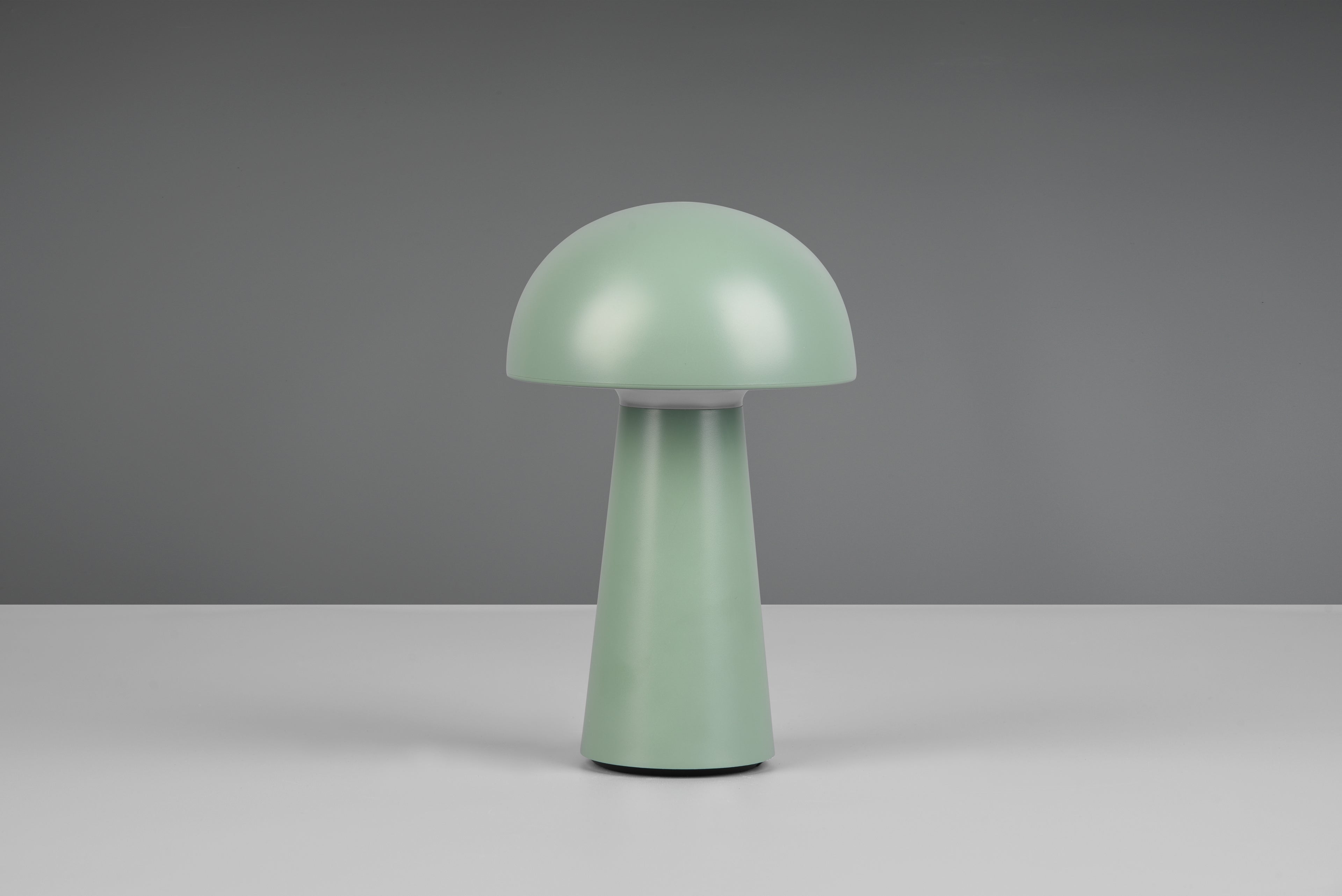 Mani / Outdoor-indoor LED light