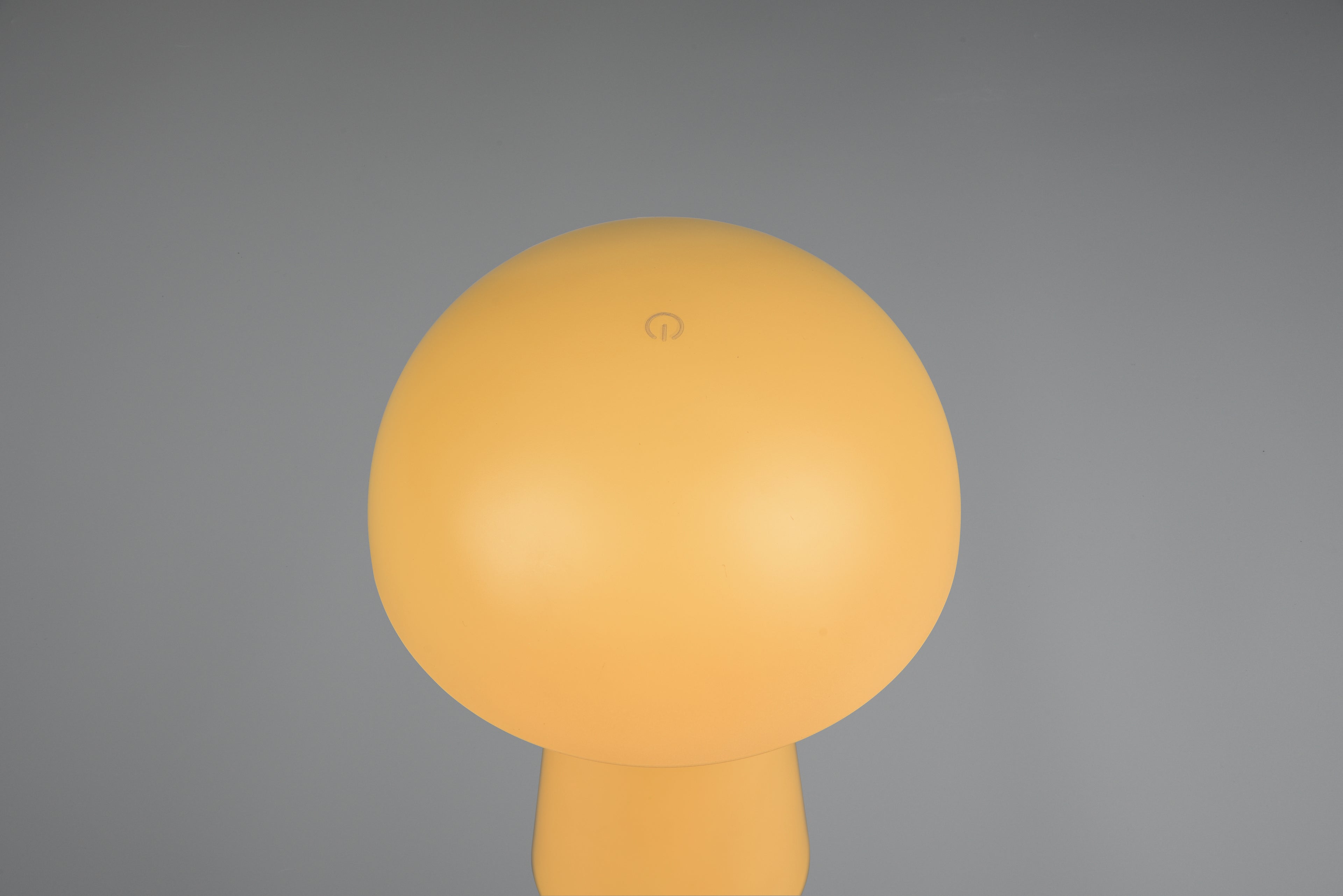 Mani / Outdoor-indoor LED light